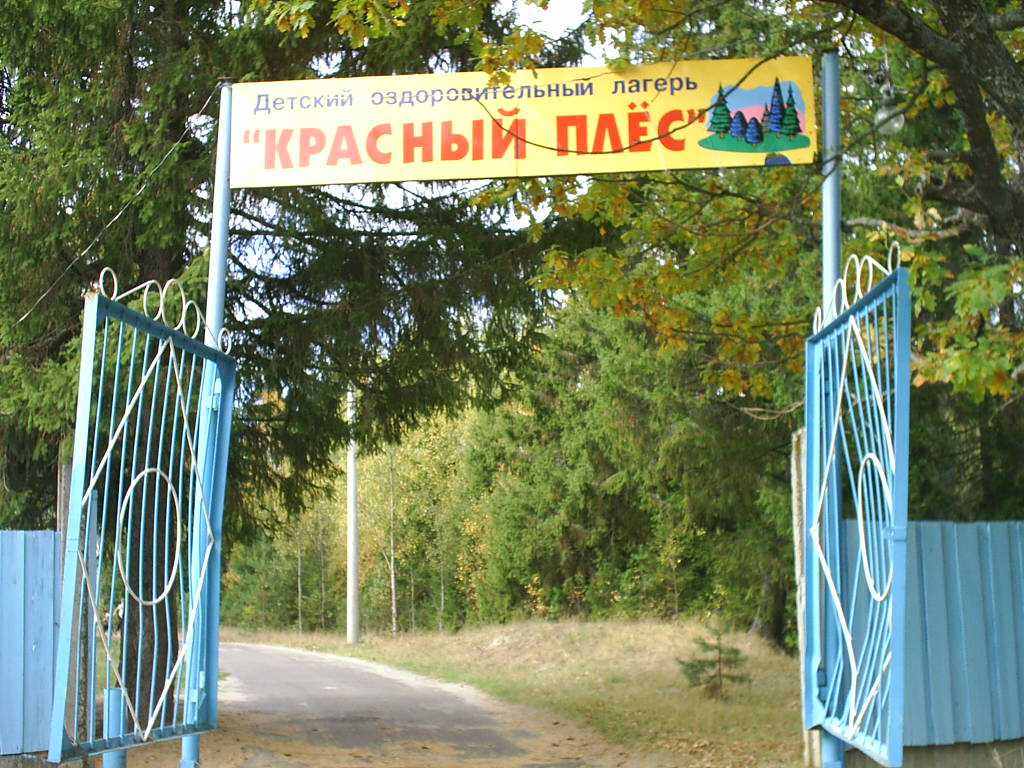 Дол это. Красный плёс лагерь. Лагерь красный Плес Нижний Новгород. Лагерь красная гвоздика Чеченино. Детский лагерь красный Плес Семеновский район.