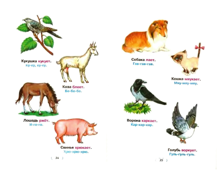 Дети животных названия с картинками для детей. Животные названия. Дети животных названия. Дикие животные список. Животные и детки название.