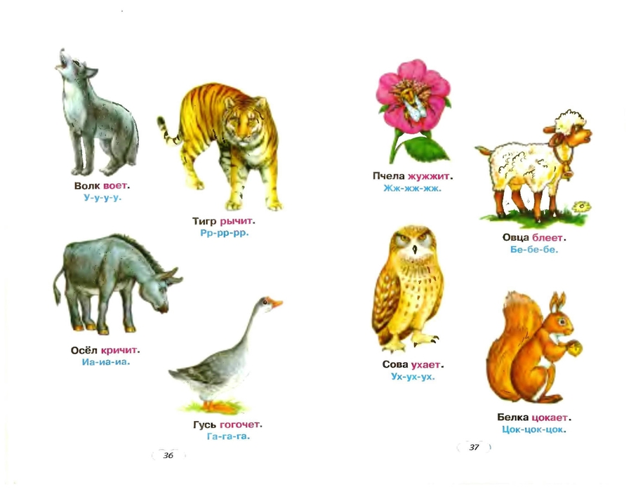 Дети животных названия с картинками для детей. Детёныши животных названия. Образование названий детенышей животных. Животными и их детенышами названия. Животные мамы и малыши названия.