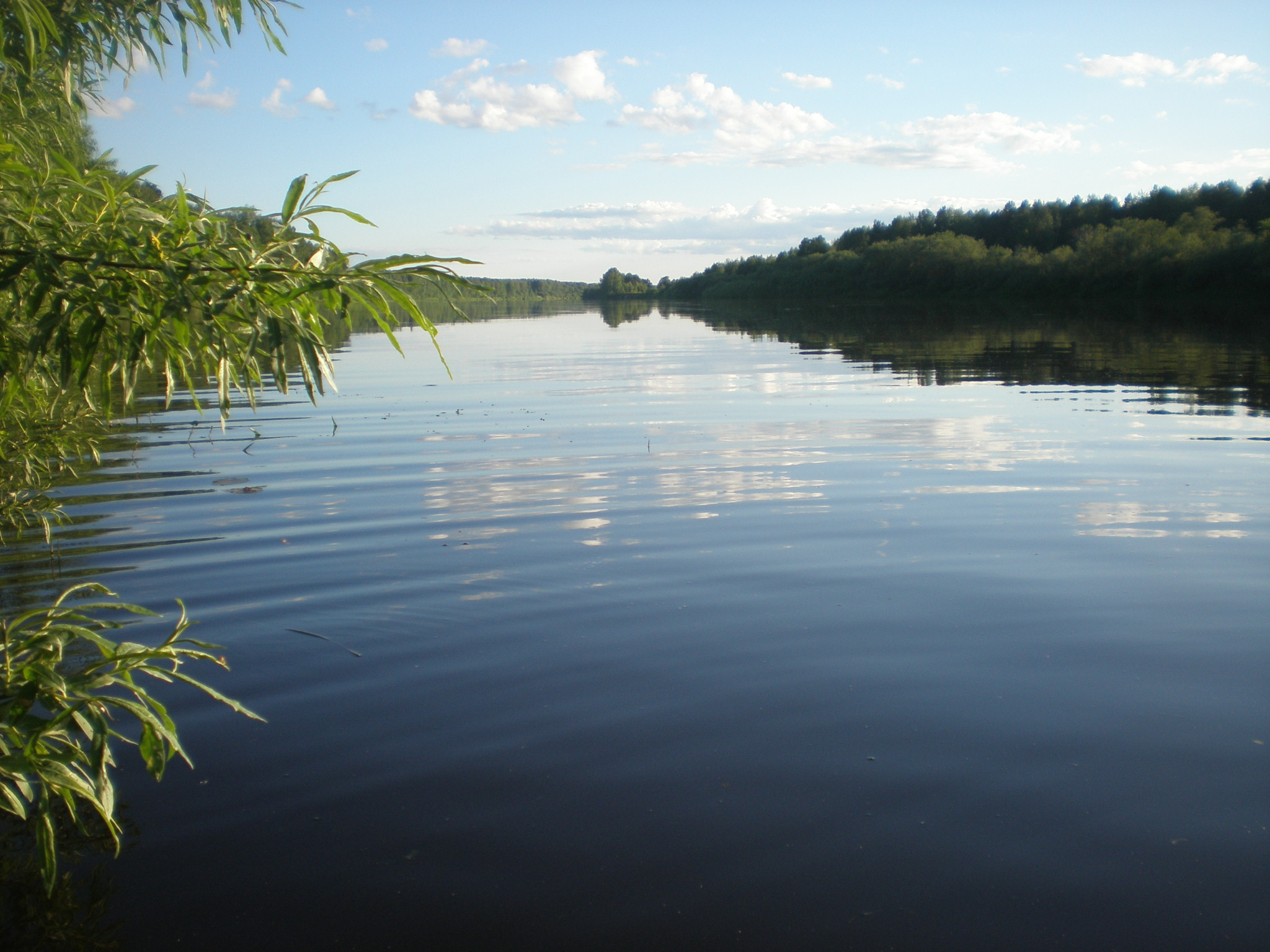 Рыбалка на ветлуге в нижегородской