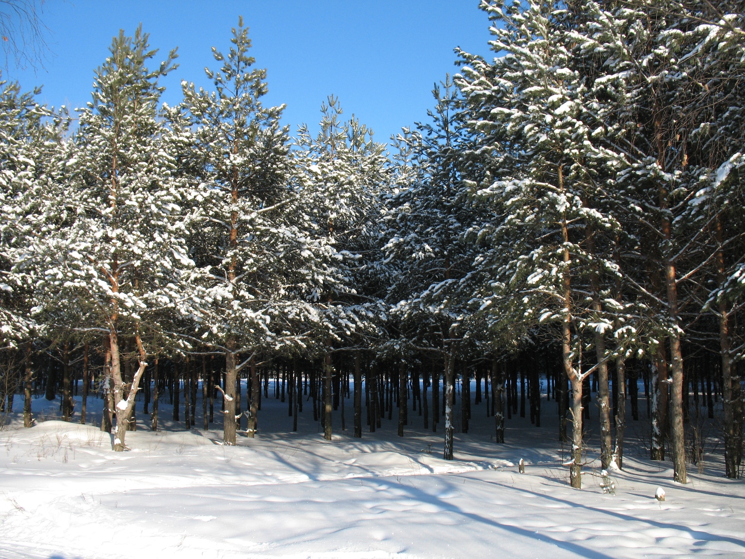 Сормовский парк зимой Нижний Новгород
