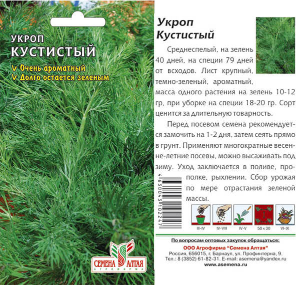Укроп Аллигатор Характеристика Фото