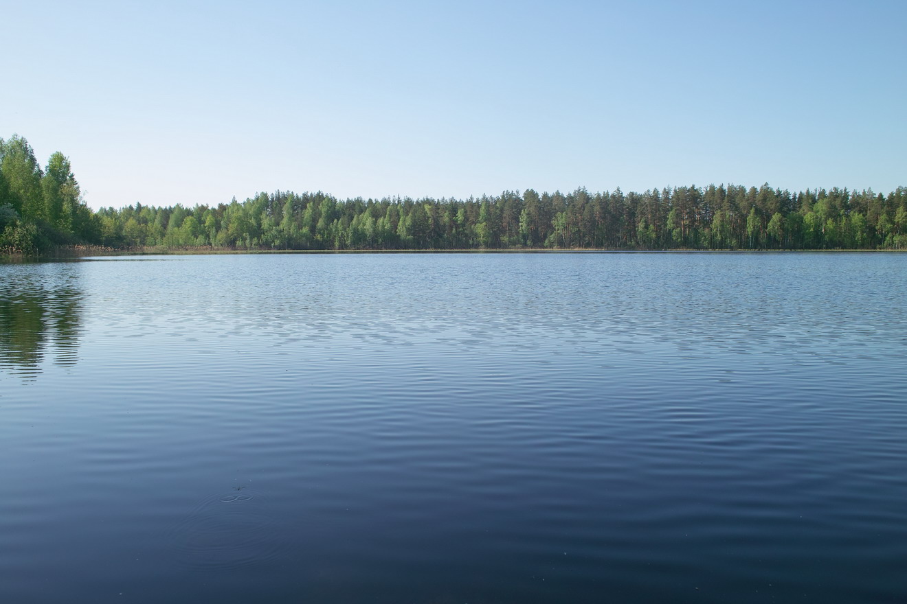 Озеро Соколье Меленковский район