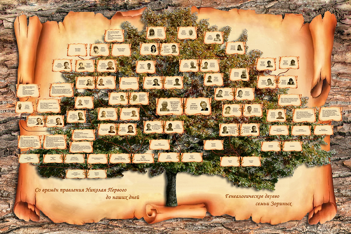 Пример родословного древа. Родословное дерево. Генеалогическое Древо семьи. Геологическое дерево. Родословная дерево.