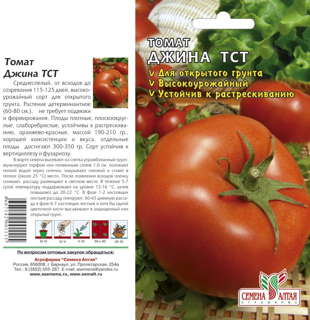 томат варшава описание сорта