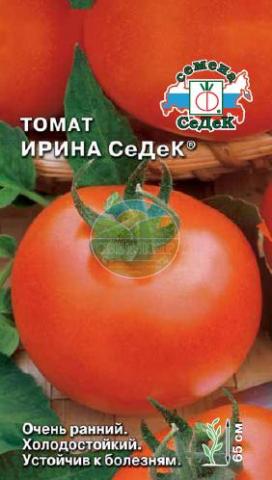 Томаты Ирина Отзывы Фото