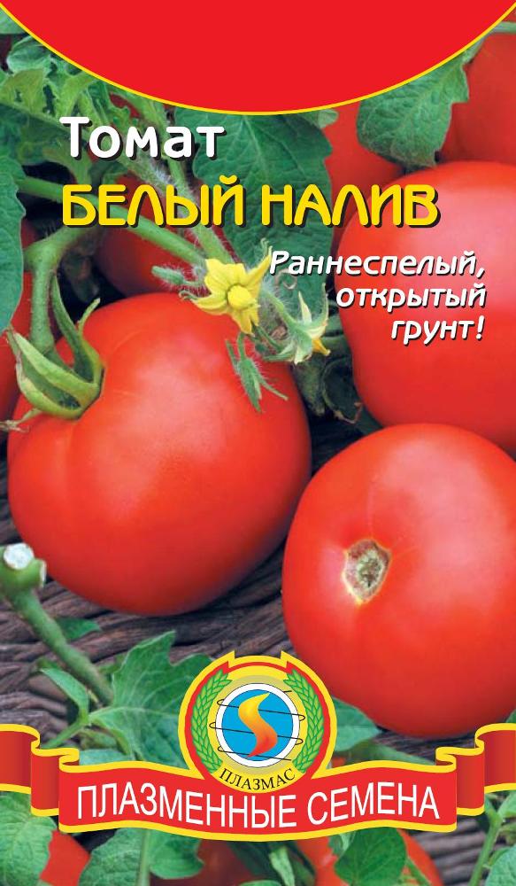 Томат Белый Налив Характеристика Фото