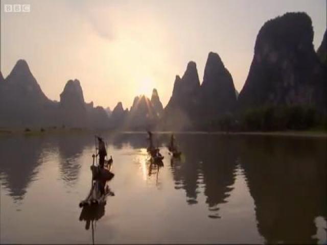 Fishing with birds! - Wild China - BBC