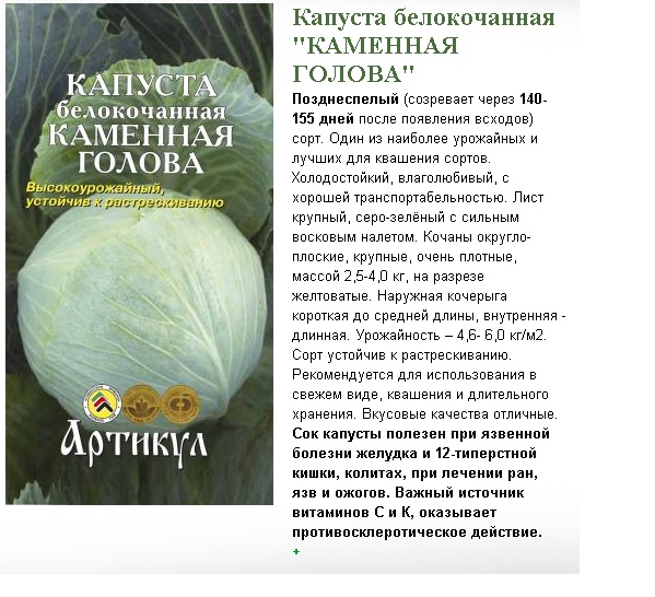 Фото Капусты Сорта Циклон Характеристики