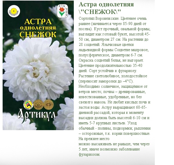 Магазин Снежок Воронеж Каталог Товаров Цены