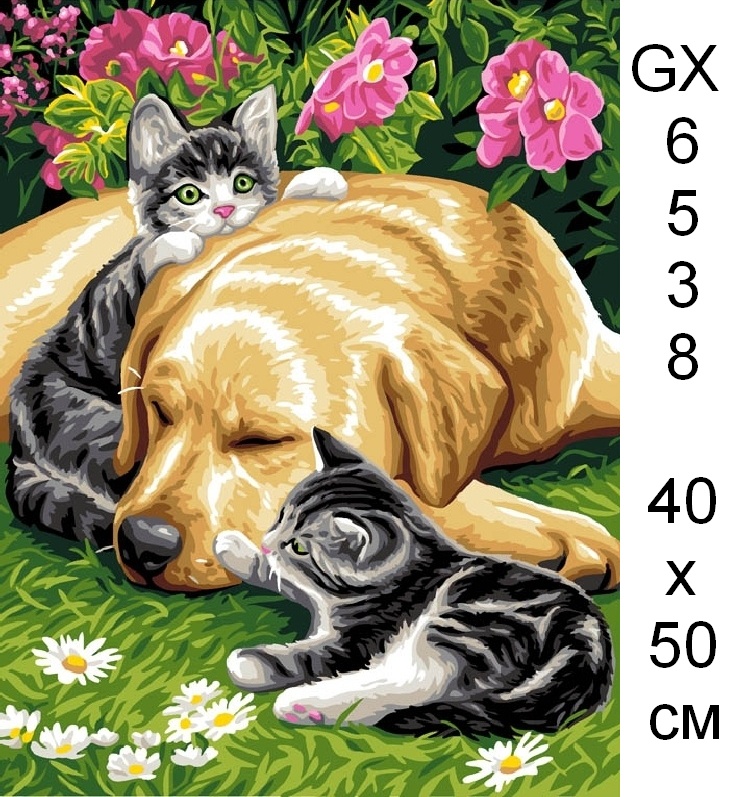 Открытки собаками кошками