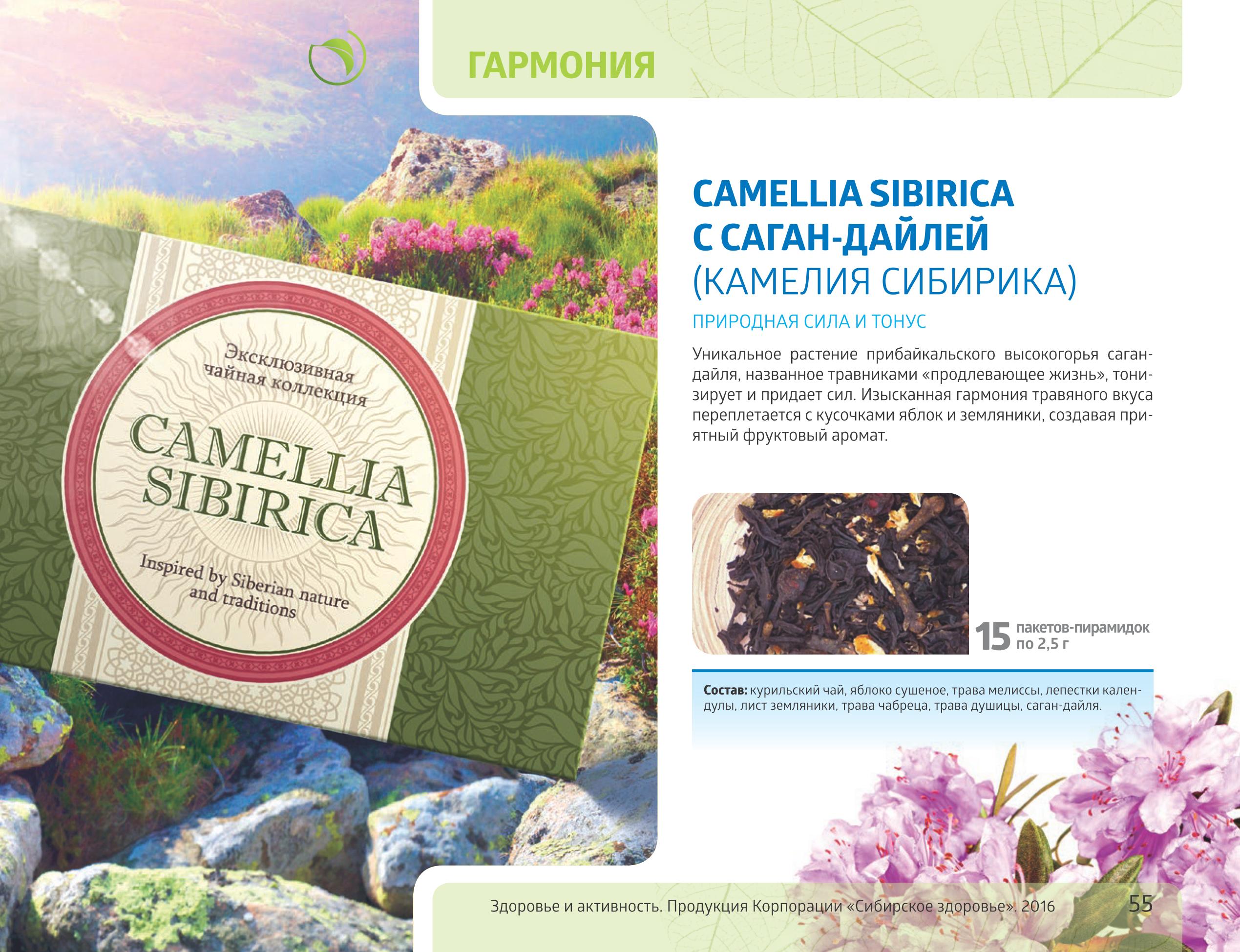 Трава вкусы. Сибирское здоровье Camellia sibirica. Чай Саган дайля Сибирское здоровье. Чайный напиток с Саган-дайлей - Camellia sibirica.