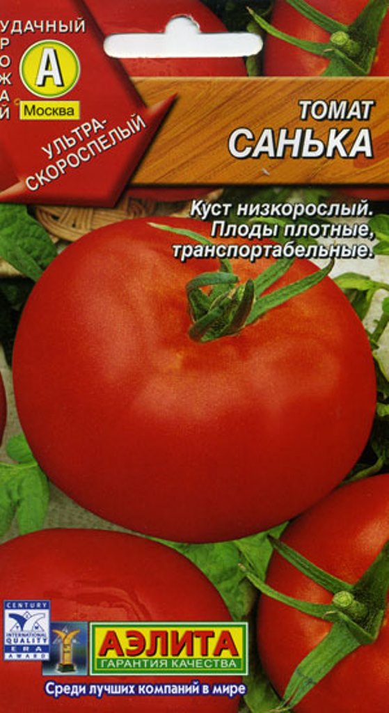 Томат Санька Фото