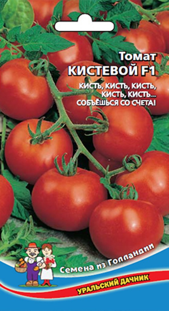 Томат Кистевые Отзывы Фото