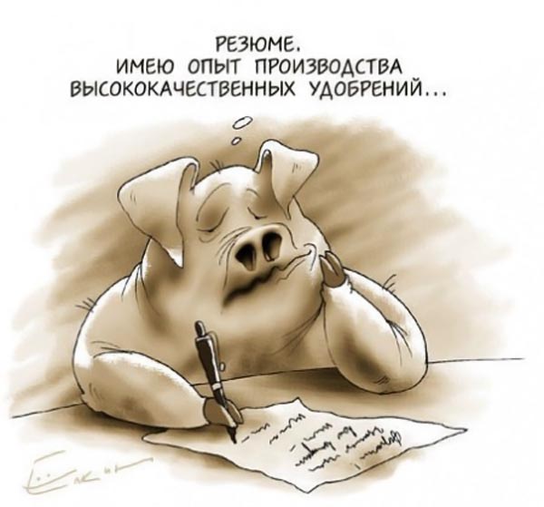 Прикольные про работу картинки