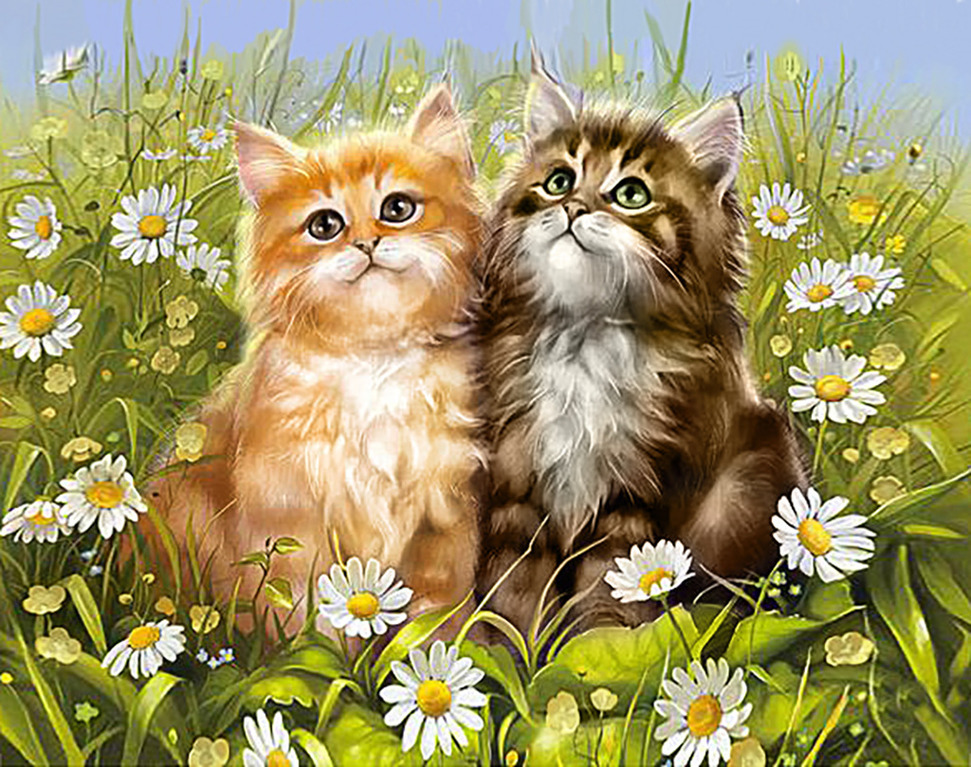 Открытки про котиков