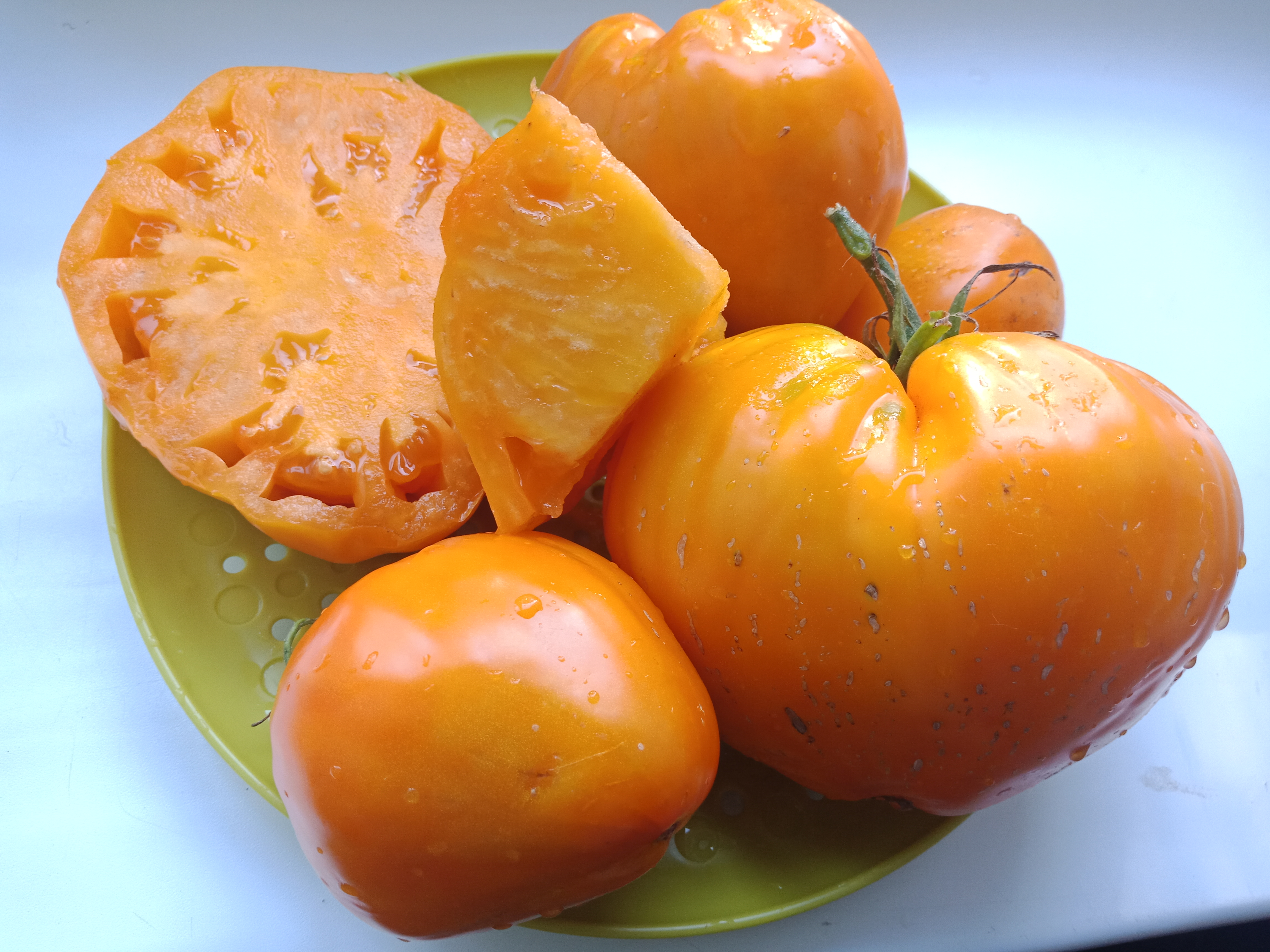 Помидоры оранжевое чудо описание сорта фото