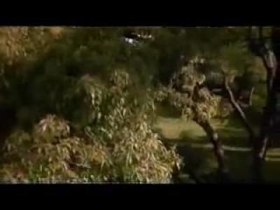 -The Lawnmower Man-Trailer1992