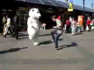 Dancing bear 