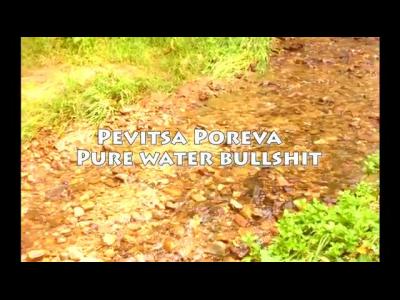 Pevitsa Poreva - Pure water bullshit - HQ - YouTube