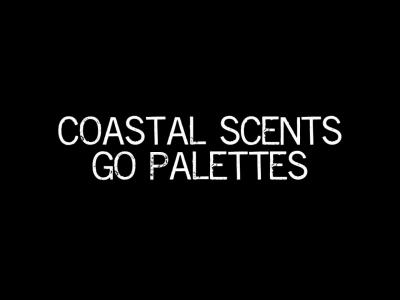 Coastal Scents GO Palettes Swatches (Review on BLOG)