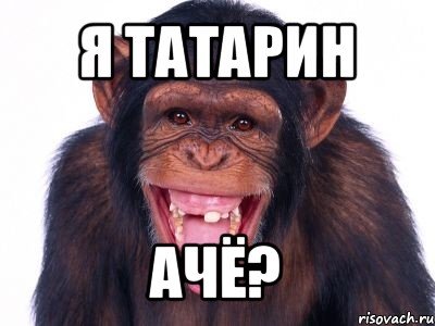 Картинка про татар прикольный, днем рождения