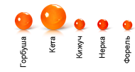 Жужжжа